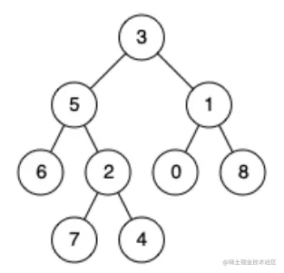 image-20220324191022661.png