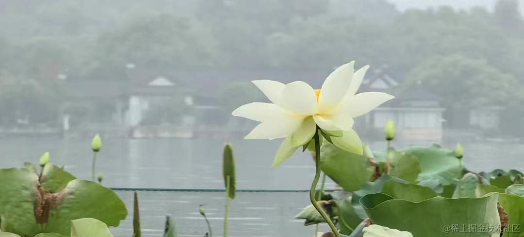大数据