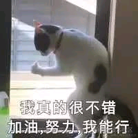 可乐真好吃于2021-12-05 18:16发布的图片