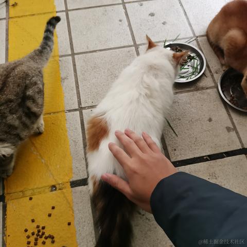 Yj家的孺子牛于2022-12-01 23:24发布的图片