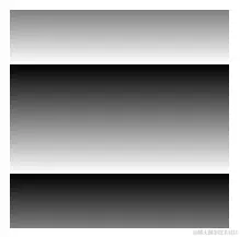 屏幕截图 2023-10-28 160508.png