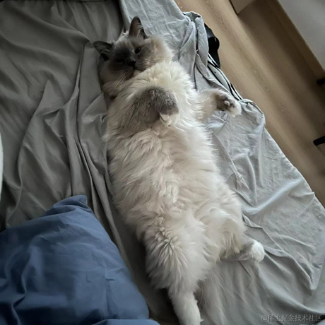 打你的修狗于2023-04-03 09:53发布的图片