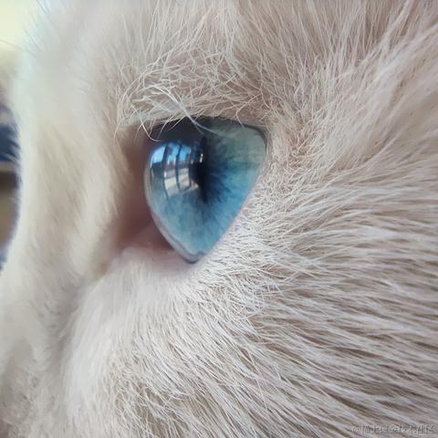 用户7210340961494于2022-12-24 00:19发布的图片