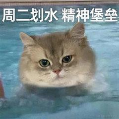 个人记录，不喜勿喷