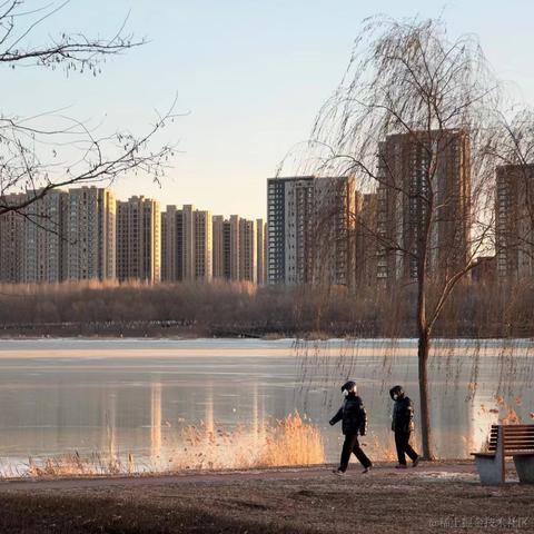 柑橘涩子于2022-12-17 20:20发布的图片