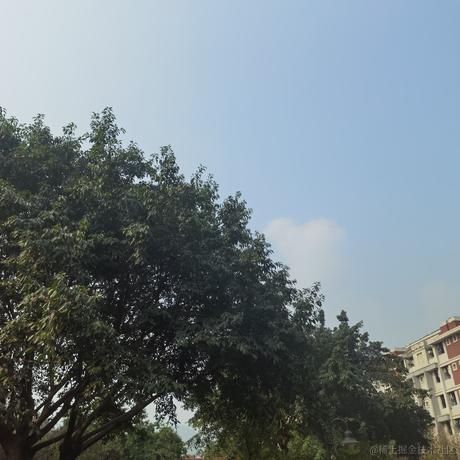 蛋糕店车间主任于2022-11-11 12:31发布的图片