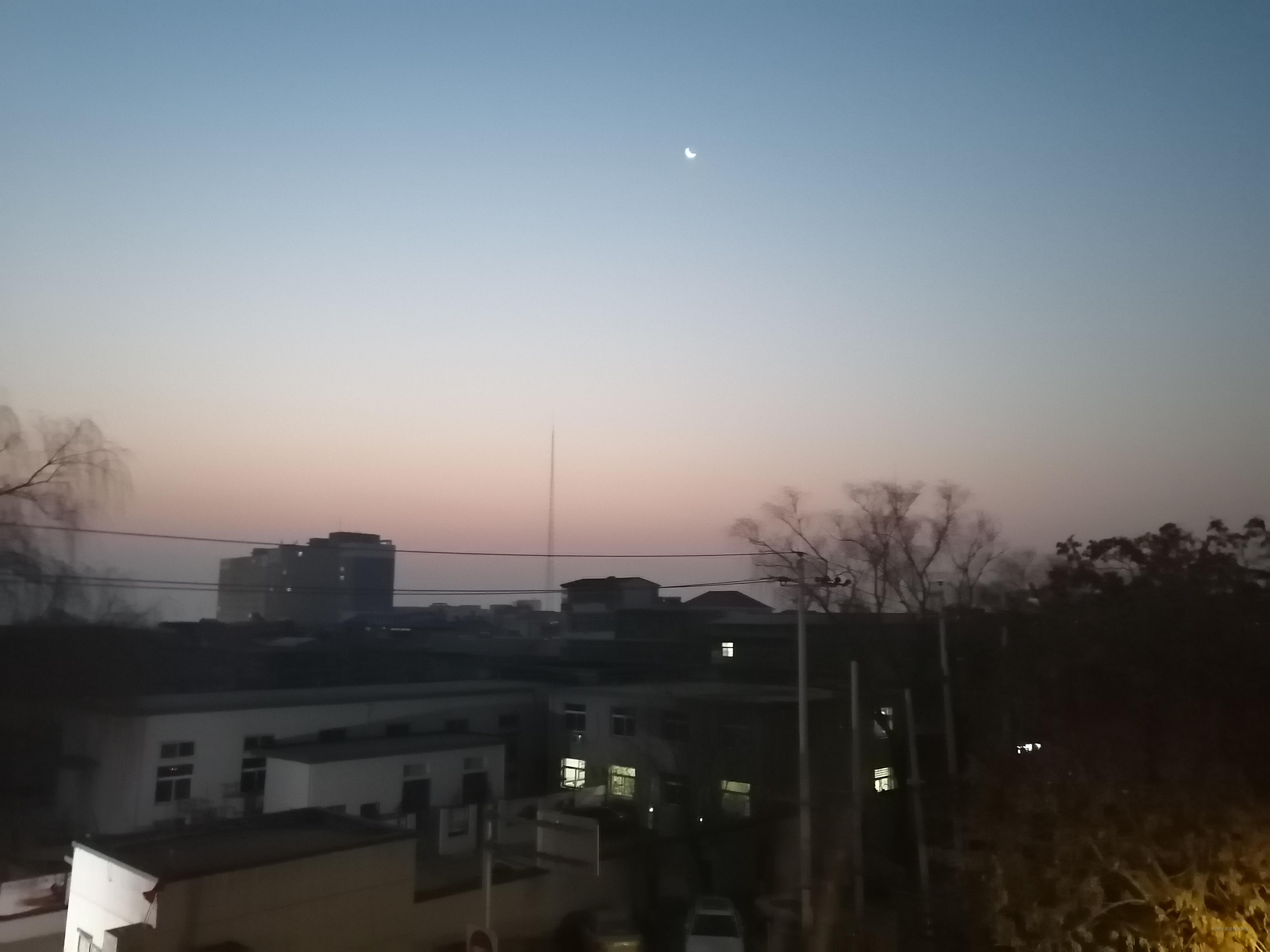 面试算法