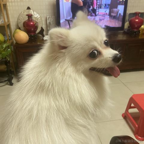 冬至至了于2021-12-06 10:01发布的图片