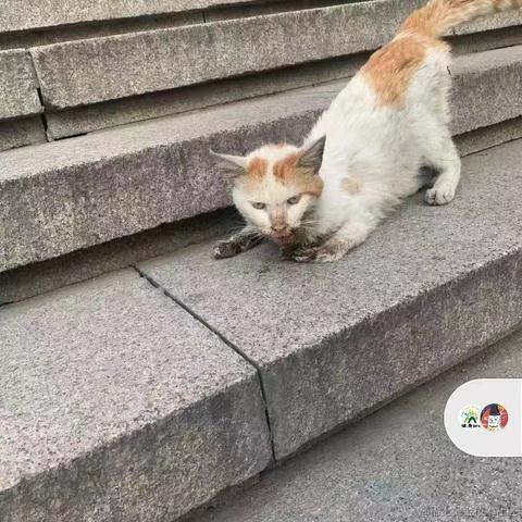 一土哥于2021-09-14 15:21发布的图片