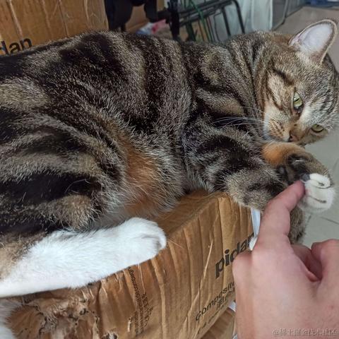 秋风又红香山梯于2021-10-29 11:19发布的图片