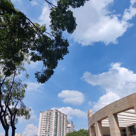 叨叨呀于2022-06-25 15:32发布的图片