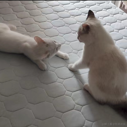 旺仔米苏于2023-06-13 15:11发布的图片