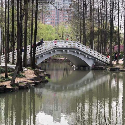 Curtain于2022-03-31 17:39发布的图片