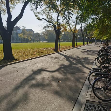 小苏打狗于2022-11-21 09:53发布的图片