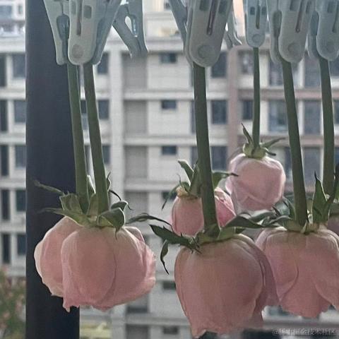 向碗小魔王于2022-12-01 22:48发布的图片