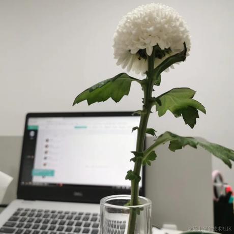 鹏说于2020-09-15 11:03发布的图片