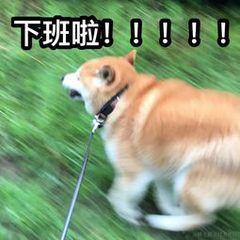 十点多交流于2023-02-03 17:38发布的图片