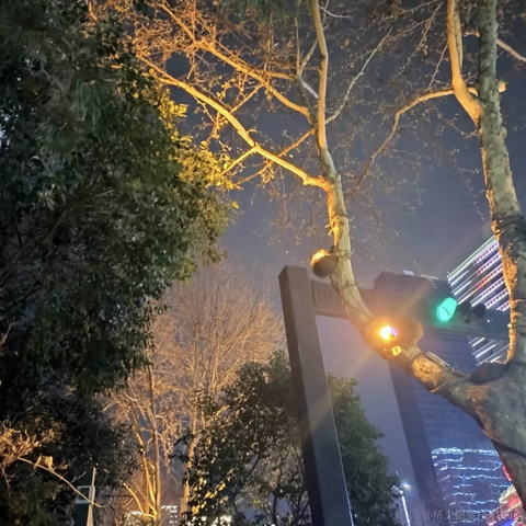 又困了大王于2023-04-11 21:31发布的图片