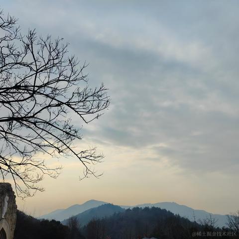 叶一一于2024-01-26 07:59发布的图片