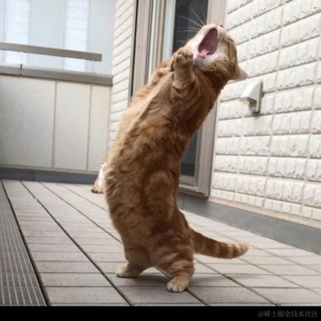 娘口三三于2023-10-30 16:41发布的图片