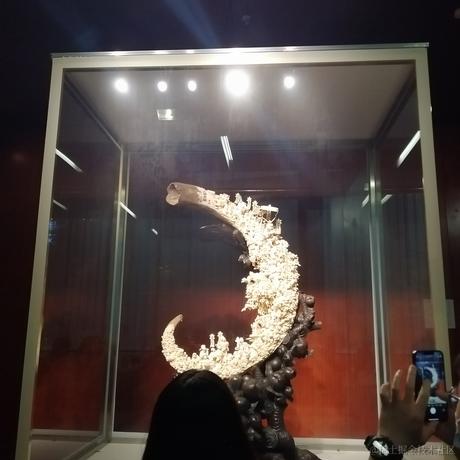 做只小狗耶于2023-06-21 11:33发布的图片