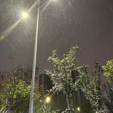 春春0613于2022-12-02 22:04发布的图片