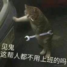 daisy_于2022-02-20 14:33发布的图片