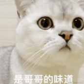 小阿天于2021-11-30 19:47发布的图片