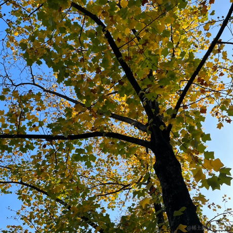 SodomAva于2022-11-13 08:19发布的图片