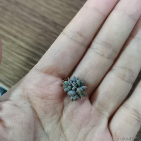 长安某hs于2023-04-10 10:32发布的图片