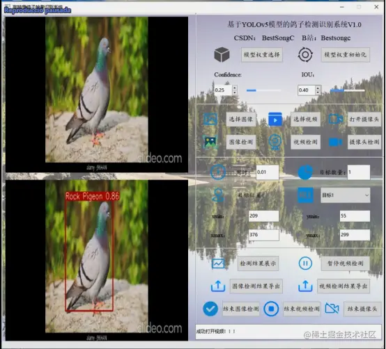 高精度鸽子检测识别系统2516.png