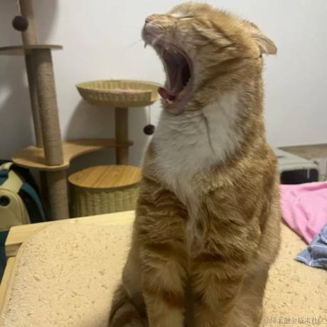 乃琳我最近压力好大于2023-06-19 23:01发布的图片