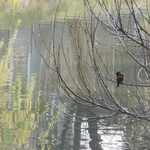 泊浮目于2022-01-15 13:58发布的图片