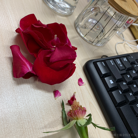 屿My于2021-03-12 16:06发布的图片