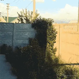 86766edc-a9a7-496b-b1a9-93cb75675435.gif