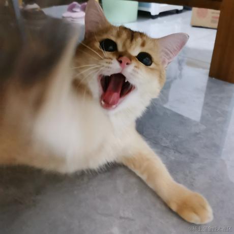 胖大昕于2022-08-26 17:33发布的图片