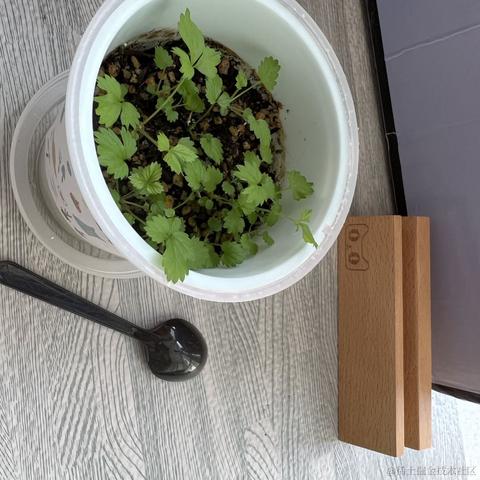 vaelcy于2022-07-20 10:26发布的图片