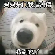 汪汪队上海分汪于2023-08-18 15:41发布的图片
