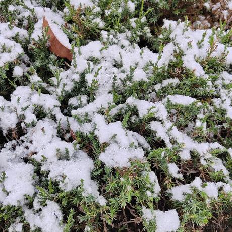 laiusztz于2022-12-07 19:58发布的图片