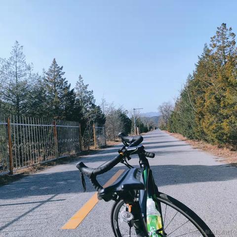 自由无用于2021-11-15 10:45发布的图片