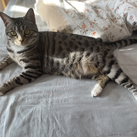 小翁小翁百万富翁于2022-12-30 22:38发布的图片