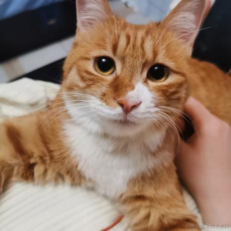 遇到爱于2022-12-04 14:02发布的图片