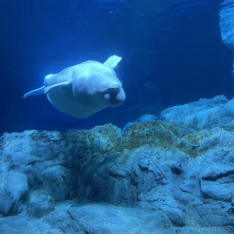 我是个靓崽于2023-04-22 23:43发布的图片