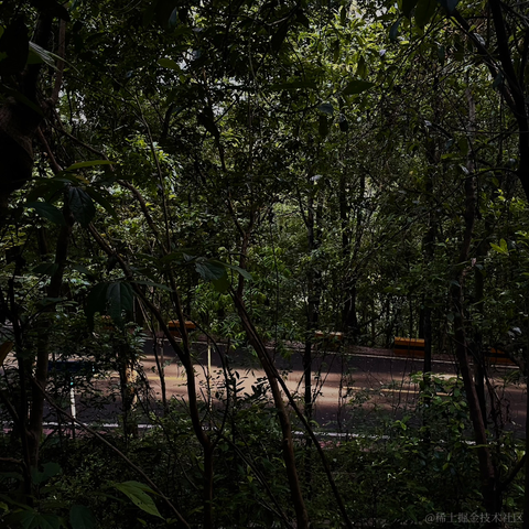 紫菜捏于2022-11-22 10:15发布的图片