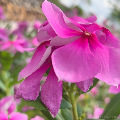 我是阿沐于2021-05-28 17:32发布的图片