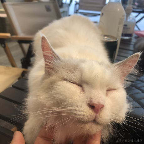 su菜鸟飞不动于2022-09-23 09:48发布的图片