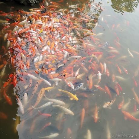 冰淇琳于2022-12-10 12:50发布的图片