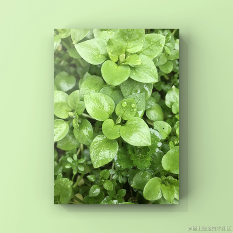 红毛丹于2022-02-03 19:59发布的图片