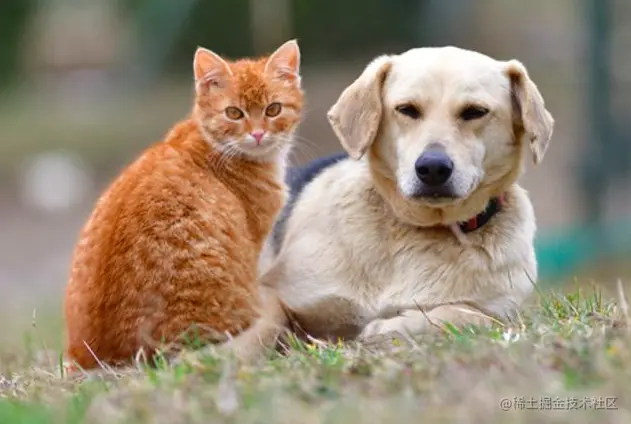 屏幕快照 2021-11-14 下午1.48.19.png