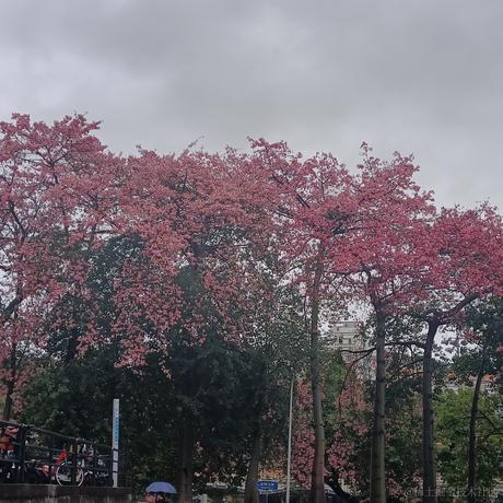 智能车企看板娘于2022-11-24 09:04发布的图片